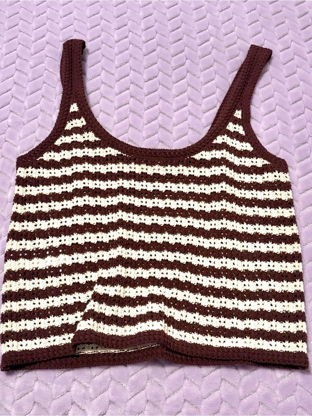 Madewell Crochet Striped Crop Tank in Brown and Cream